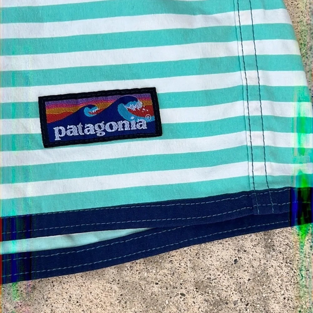 Patagonia Men's Wavefarer Striped Boardshorts Size 30